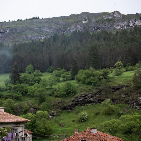 Guest House Rossy Trigrad Εξωτερικό φωτογραφία