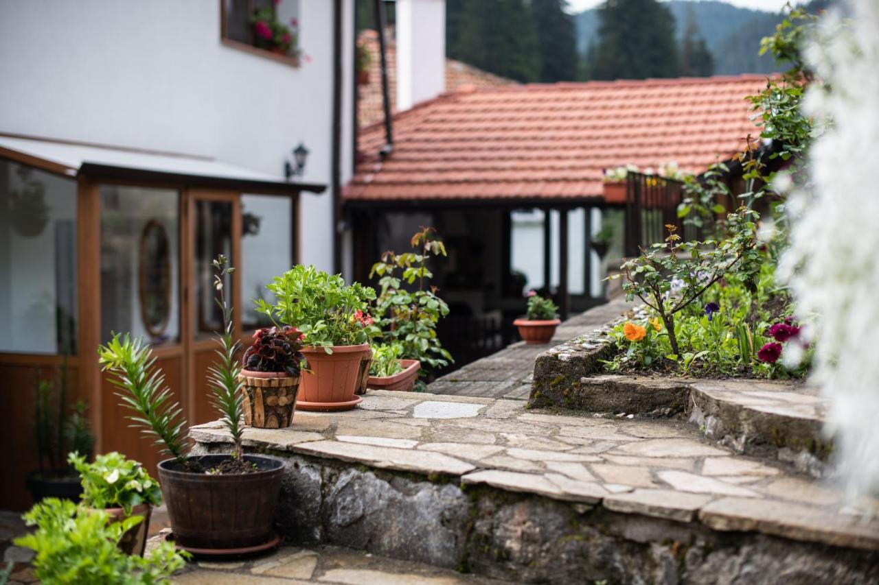 Guest House Rossy Trigrad Εξωτερικό φωτογραφία