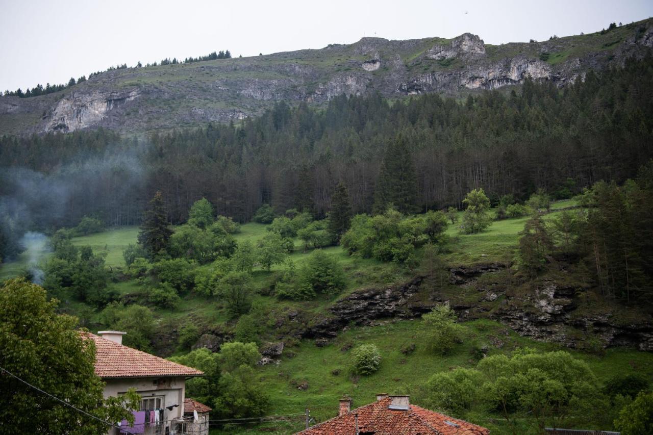 Guest House Rossy Trigrad Εξωτερικό φωτογραφία