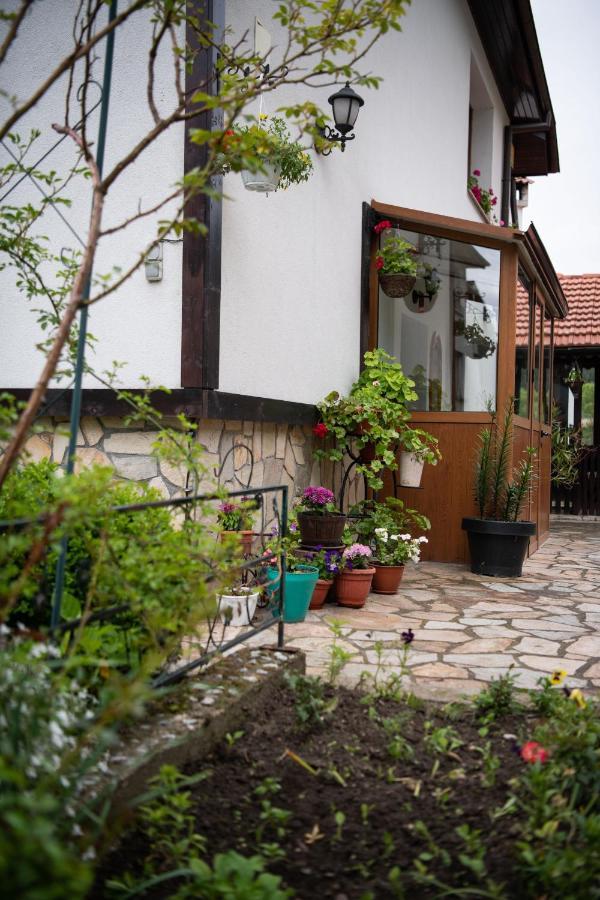 Guest House Rossy Trigrad Εξωτερικό φωτογραφία