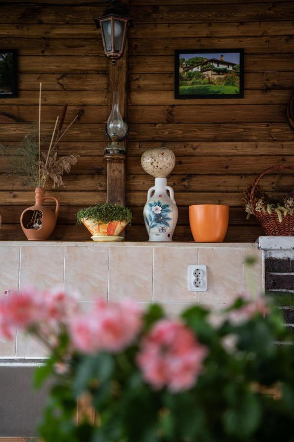 Guest House Rossy Trigrad Εξωτερικό φωτογραφία