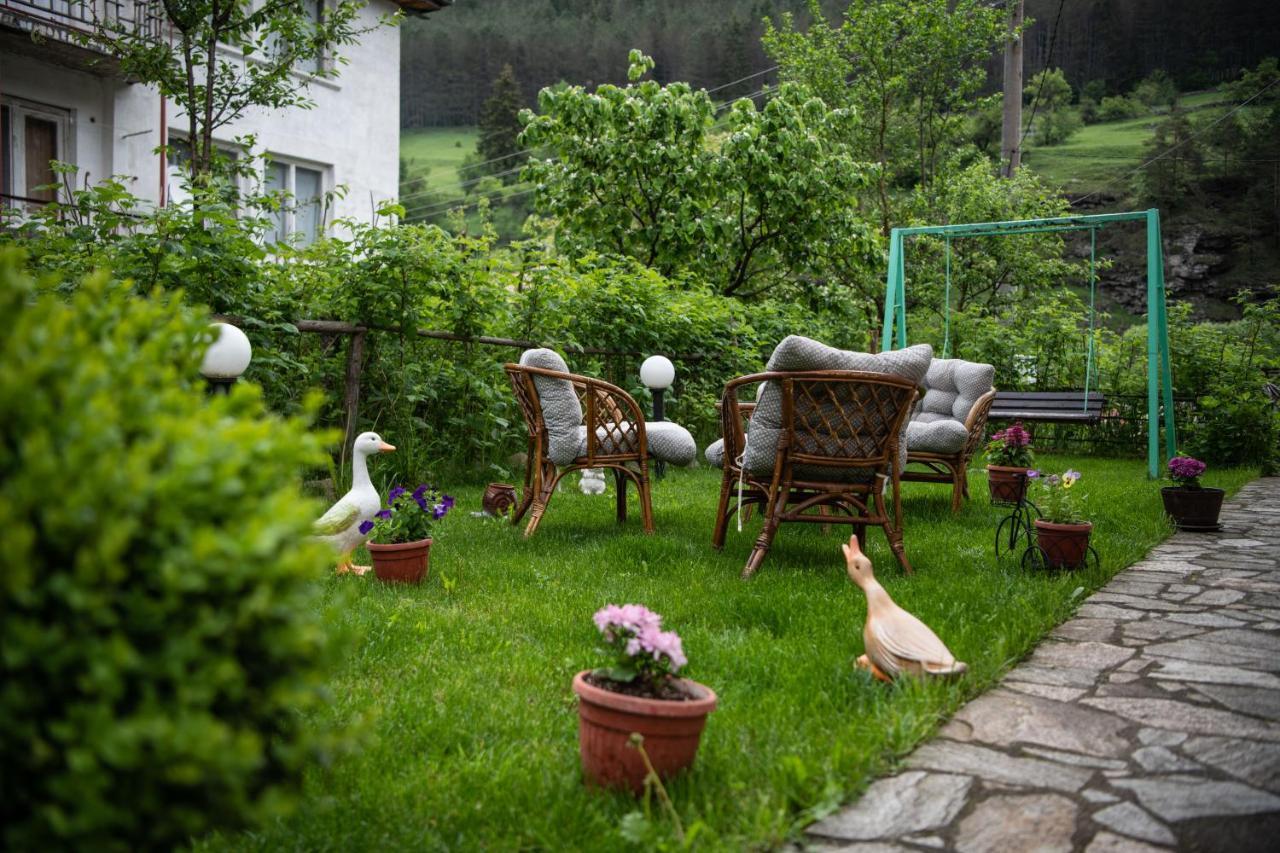 Guest House Rossy Trigrad Εξωτερικό φωτογραφία