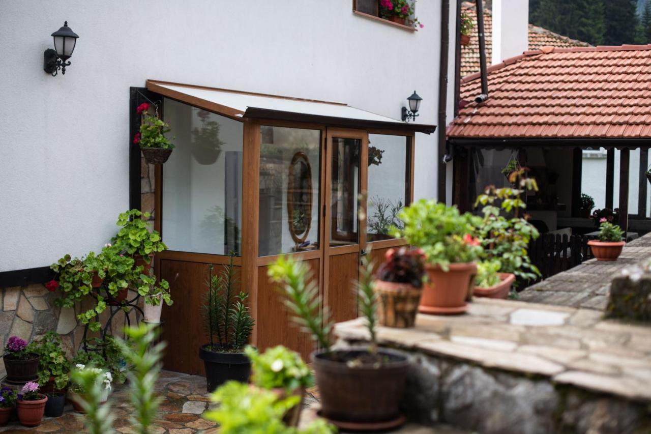 Guest House Rossy Trigrad Εξωτερικό φωτογραφία